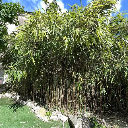 Duplex Le Bambou, Rocamadour Appartamento
